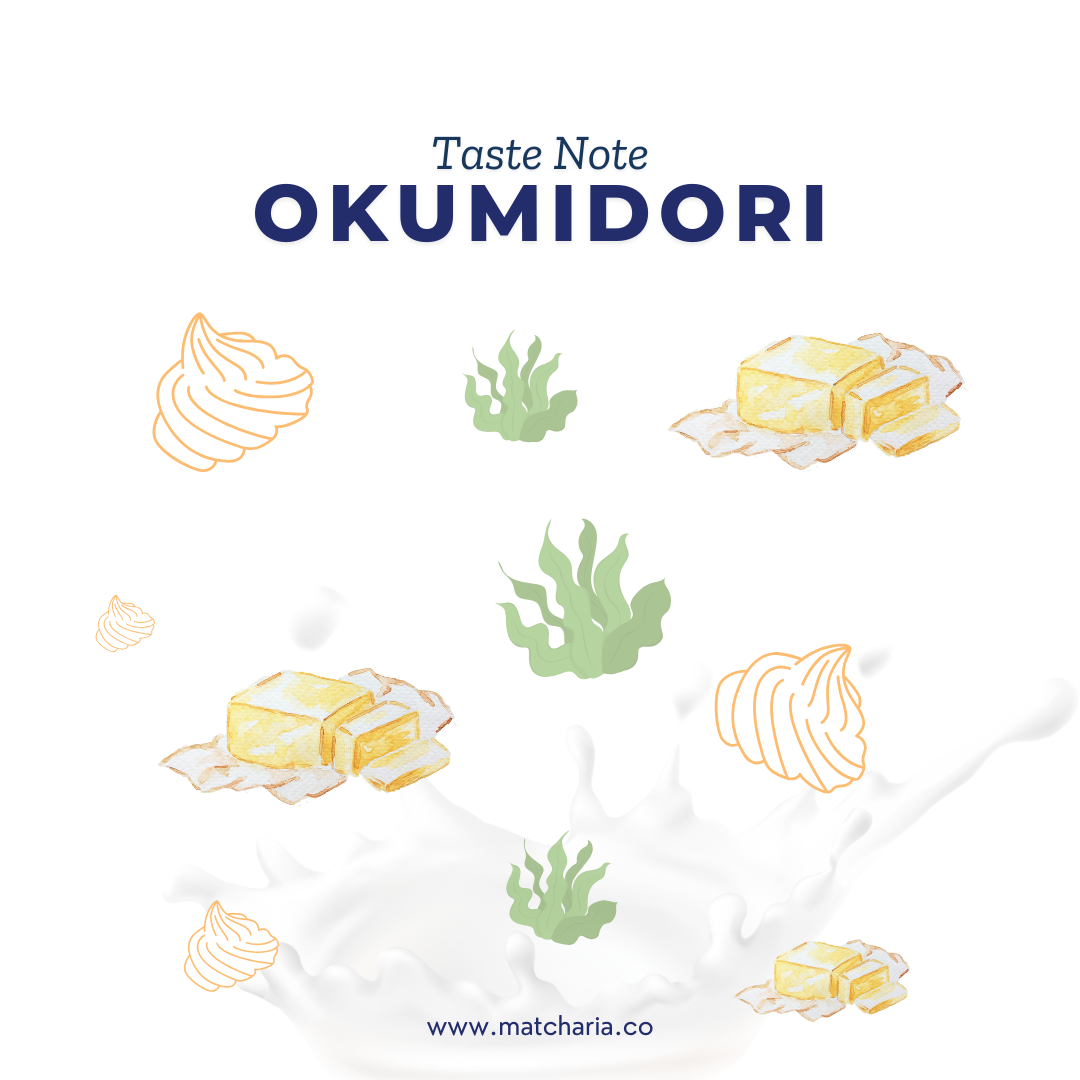 [MATCHARIA] Manzoku no Okumidori